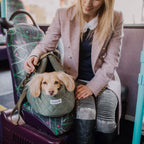 Quilted Dog Carrier and Travel Bed