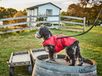 Quilted Dog Vest
