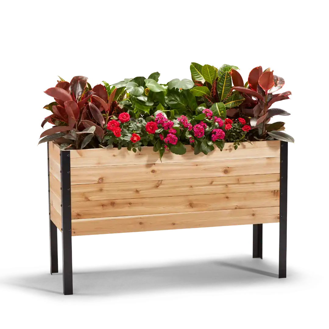 Raised Garden Bed, 18 x 48 x 30 Inch Tall Western Red Cedar