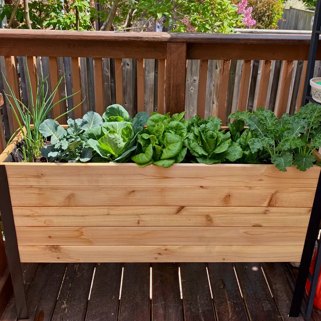 Raised Garden Bed, 18 x 48 x 30 Inch Tall Western Red Cedar
