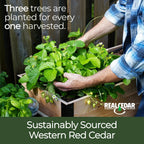 Raised Garden Bed, 18 x 48 x 30 Inch Tall Western Red Cedar