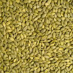 Raw Pumpkin Seeds in a 16 oz Resealable Pouch for Simple Snacking, Salad Toppings and Home Baking
