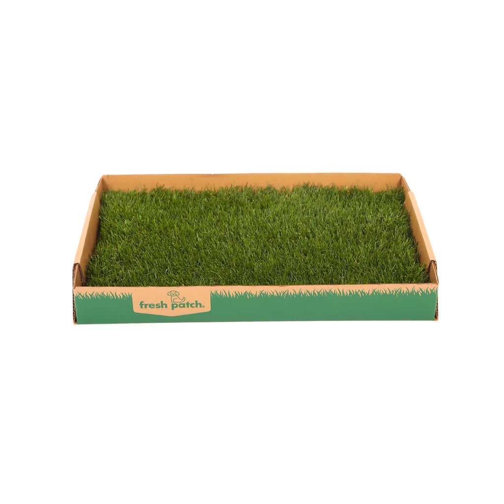 Real Grass Dog Potty Patch