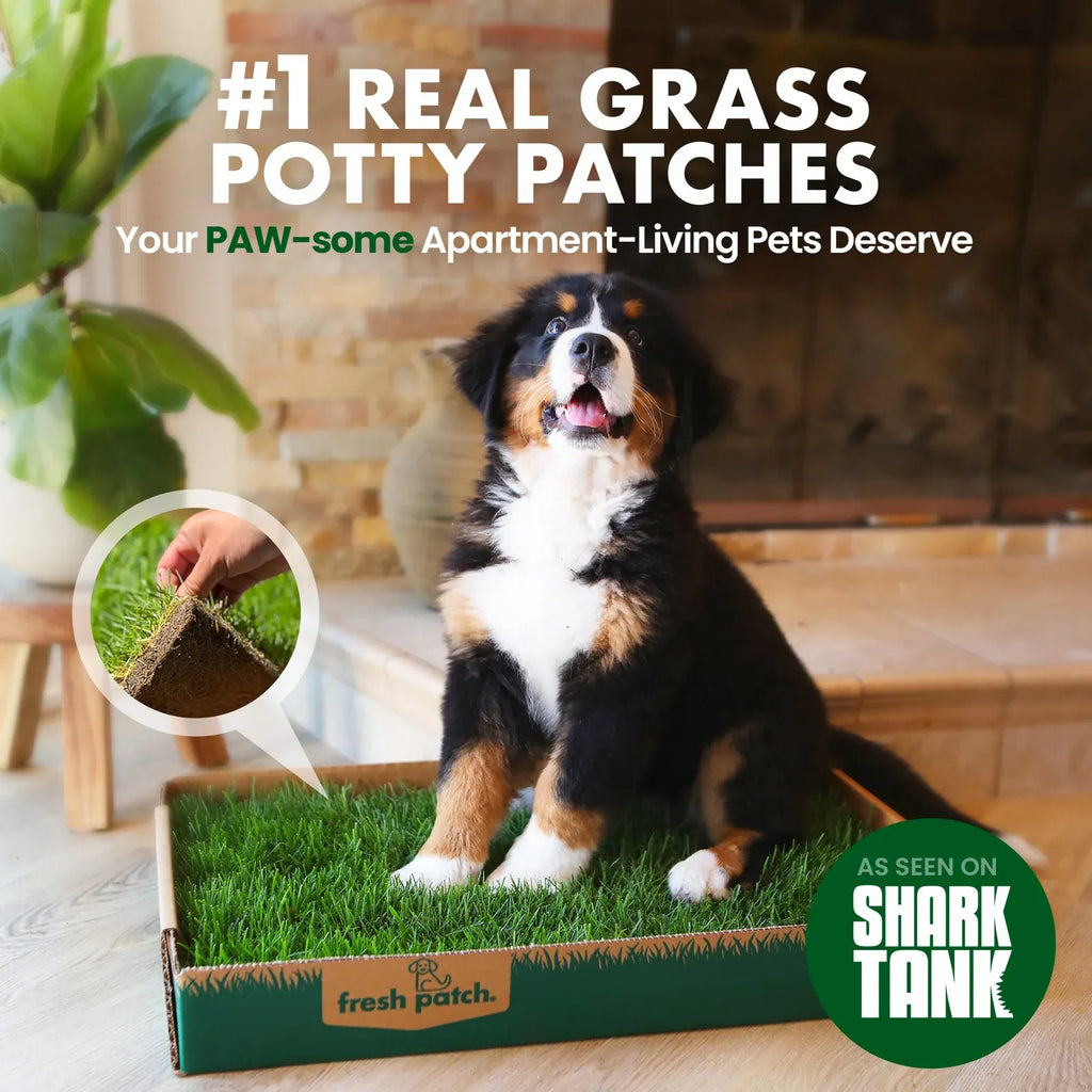 Real Grass Dog Potty Patch