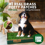 Real Grass Dog Potty Patch