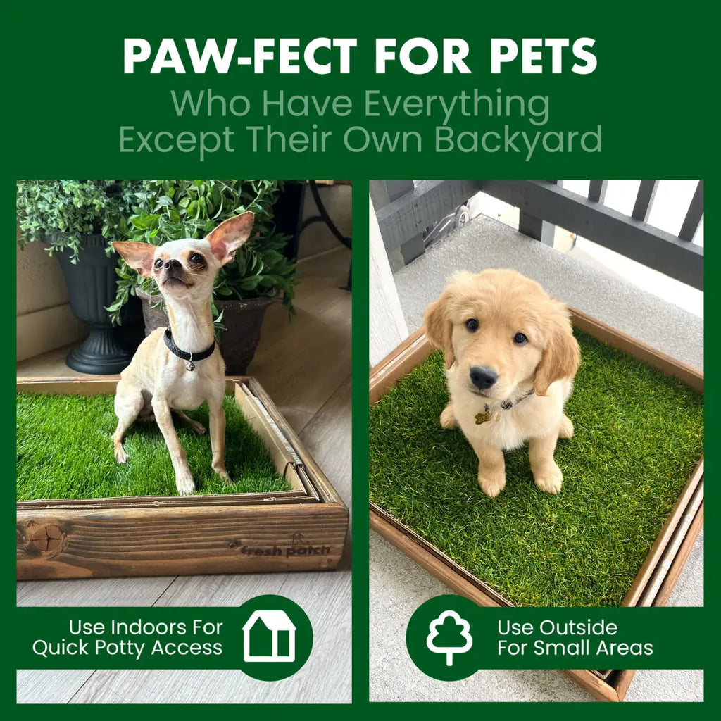 Real Grass Dog Potty Patch