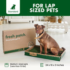 Real Grass Dog Potty Patch