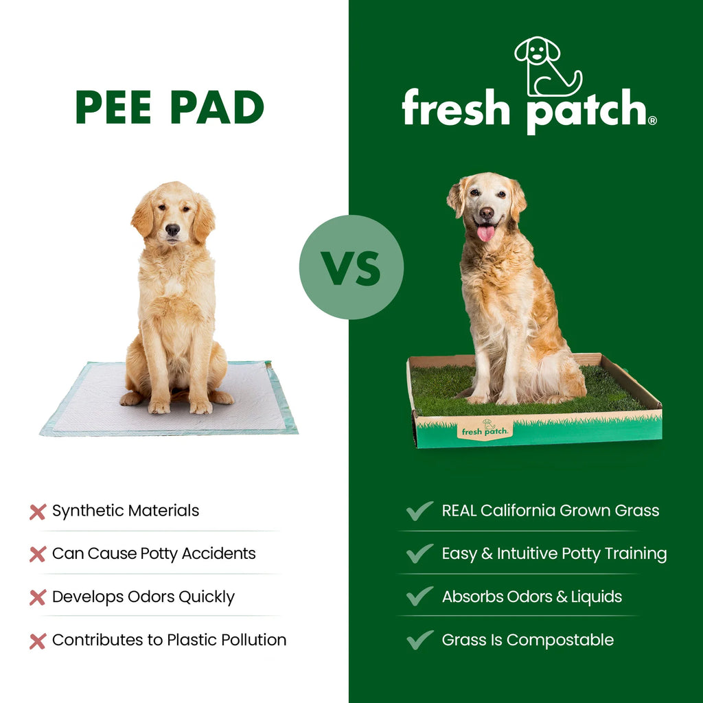 Real Grass Dog Potty Patch