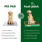Real Grass Dog Potty Patch