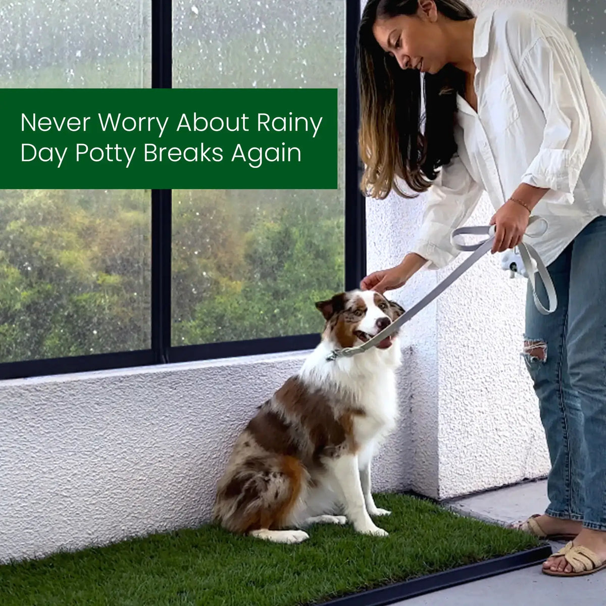 Real Grass Dog Potty Patch