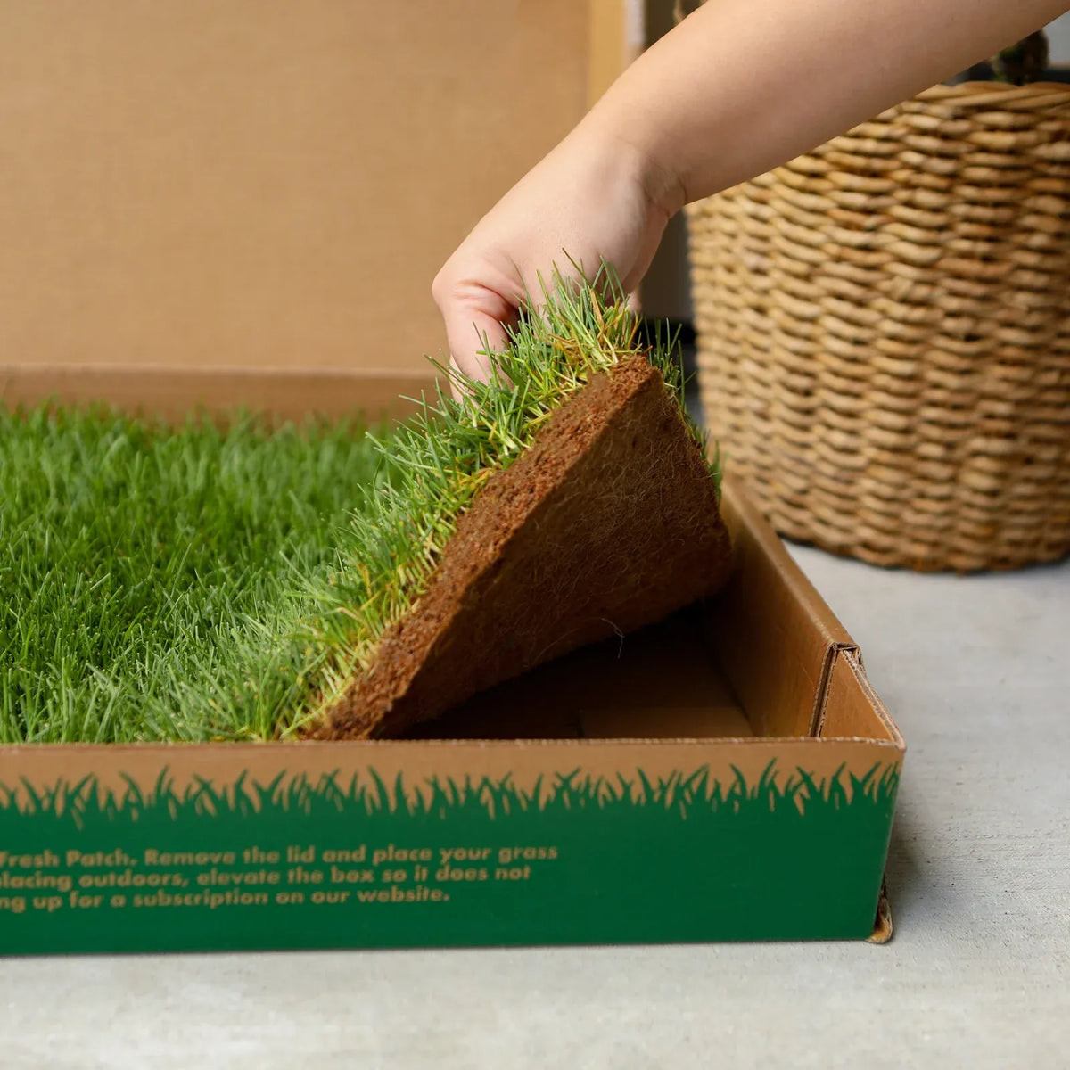 Real Grass Dog Potty Patch