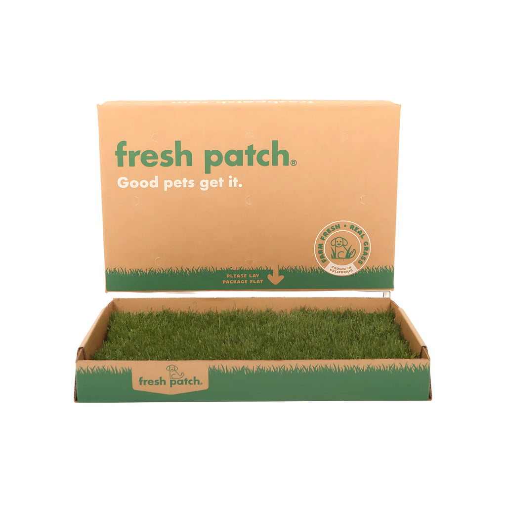 Real Grass Dog Potty Patch