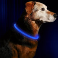 Rechargeable LED Dog Collar for Evening Walks, Cut-to-Fit Design and Visibility from Every A — Blue / S / Blue / M / Blue / L