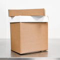 Rectangular Ice Cream Boxes for 2.5 Gallon Batches, Case of 50 Corrugated Containers with Lids