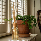 Reed Diffuser