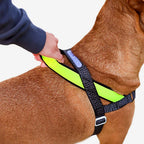 Reflective No-Pull Dog Harness with Front and Back D-Rings, Padded Handle, and Adjustable Soft-Fabric Fit