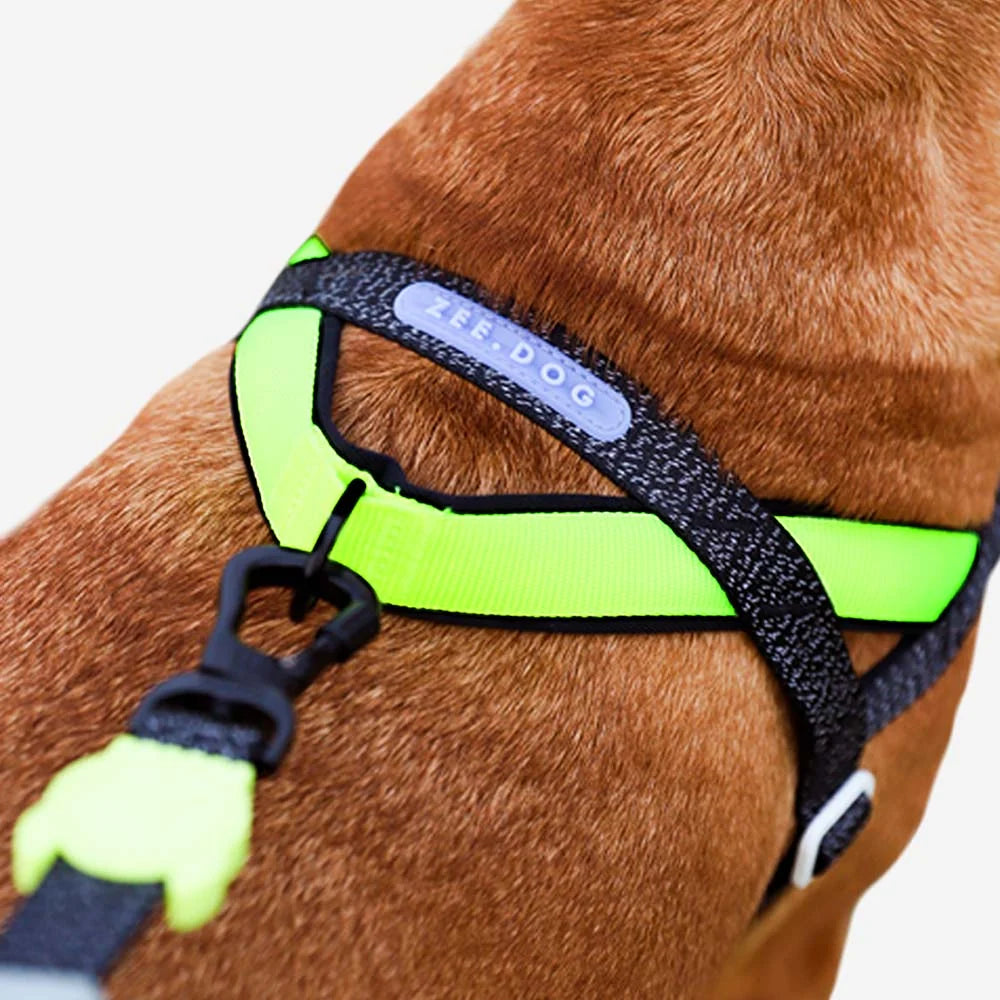 Reflective No-Pull Dog Harness with Front and Back D-Rings, Padded Handle, and Adjustable Soft-Fabric Fit