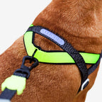 Reflective No-Pull Dog Harness with Front and Back D-Rings, Padded Handle, and Adjustable Soft-Fabric Fit