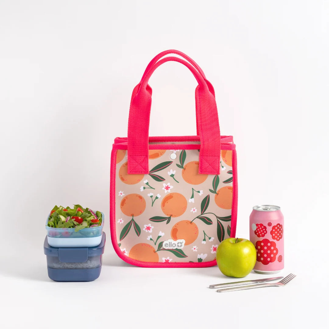 Reusable Lunch Tote with Multiple Pockets and a Foldable Design for Work Lunches, Picnics and Travel