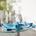 Reusable Window Cleaning Kit