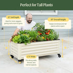 Rolling Cube Planter