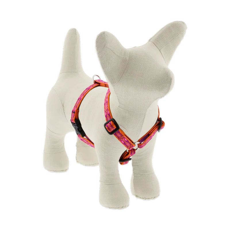Roman Dog Harness