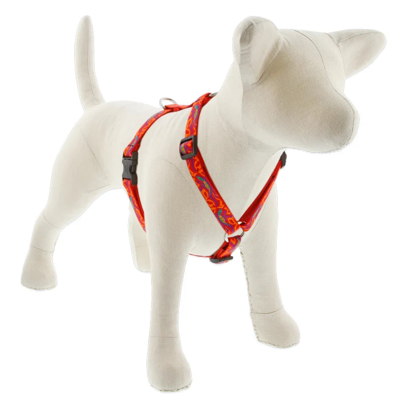 Roman Dog Harness