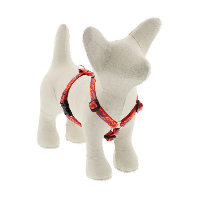 Roman Dog Harness