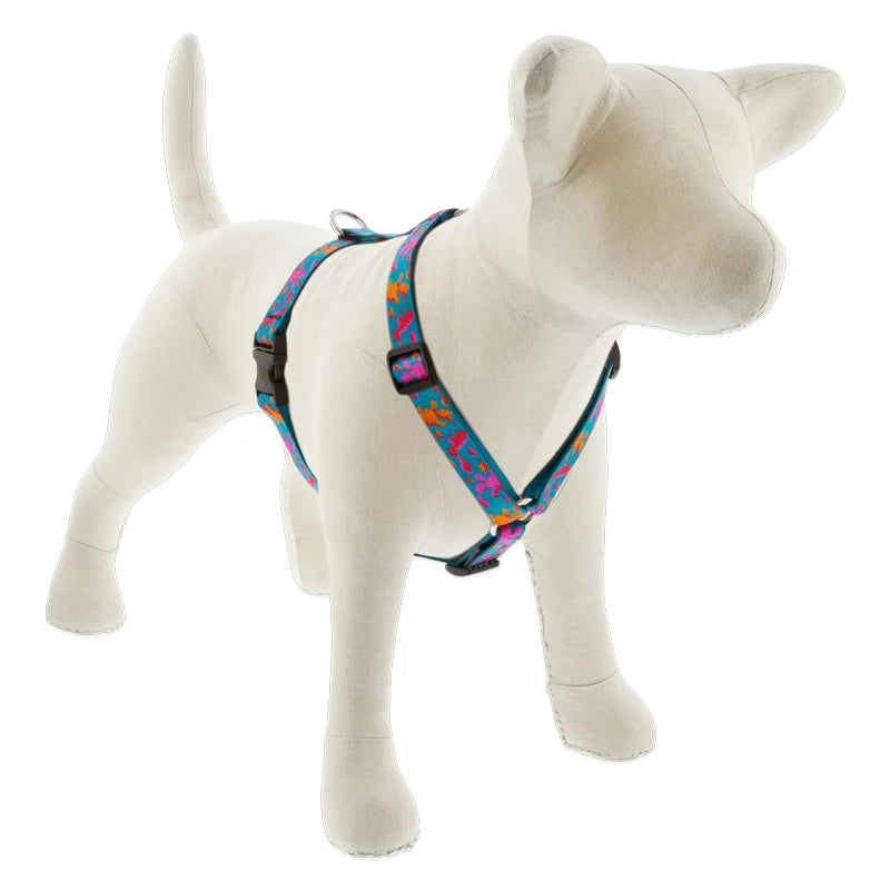 Roman Dog Harness
