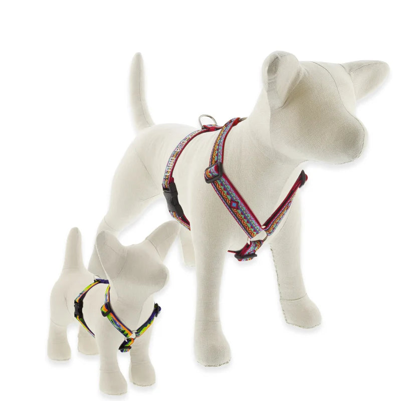 Roman Dog Harness