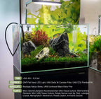 Rotala Narrow Leaf Red Aquarium Plant