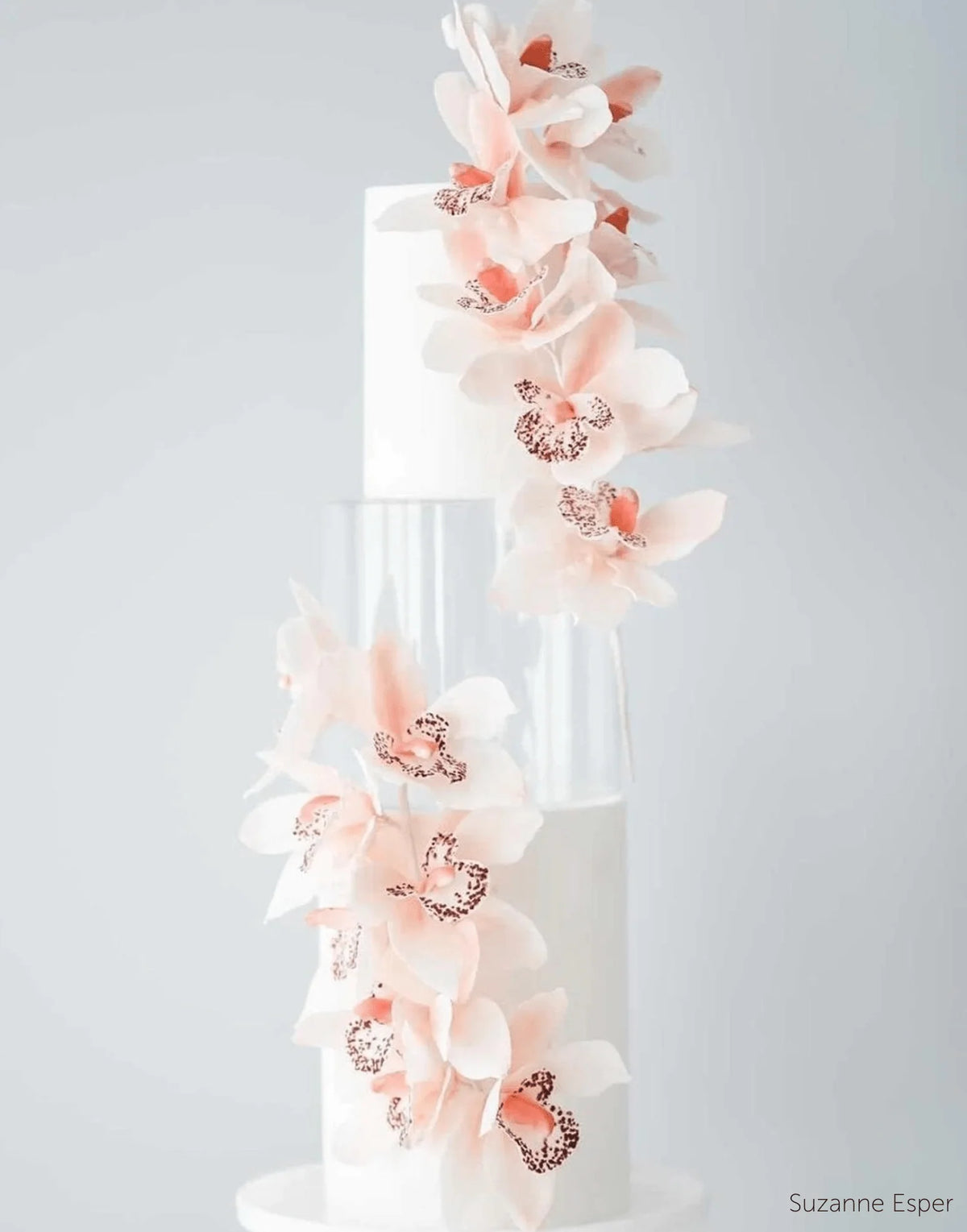 Round Acrylic Fillable Cake Tier with Removable Lid, Clear Floating Spacer for 2, 4 or 6 Inch Cake Designs