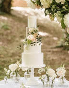 Round Acrylic Fillable Cake Tier with Removable Lid, Clear Floating Spacer for 2, 4 or 6 Inch Cake Designs