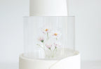 Round Acrylic Fillable Cake Tier with Removable Lid, Clear Floating Spacer for 2, 4 or 6 Inch Cake Designs