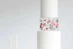 Round Acrylic Fillable Cake Tier with Removable Lid, Clear Floating Spacer for 2, 4 or 6 Inch Cake Designs