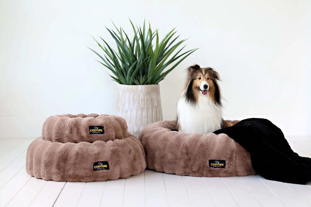 Round Orthopedic Memory Foam Pet Bed with Swappable Washable Cover for Curling, Nesting, and Everyday Support