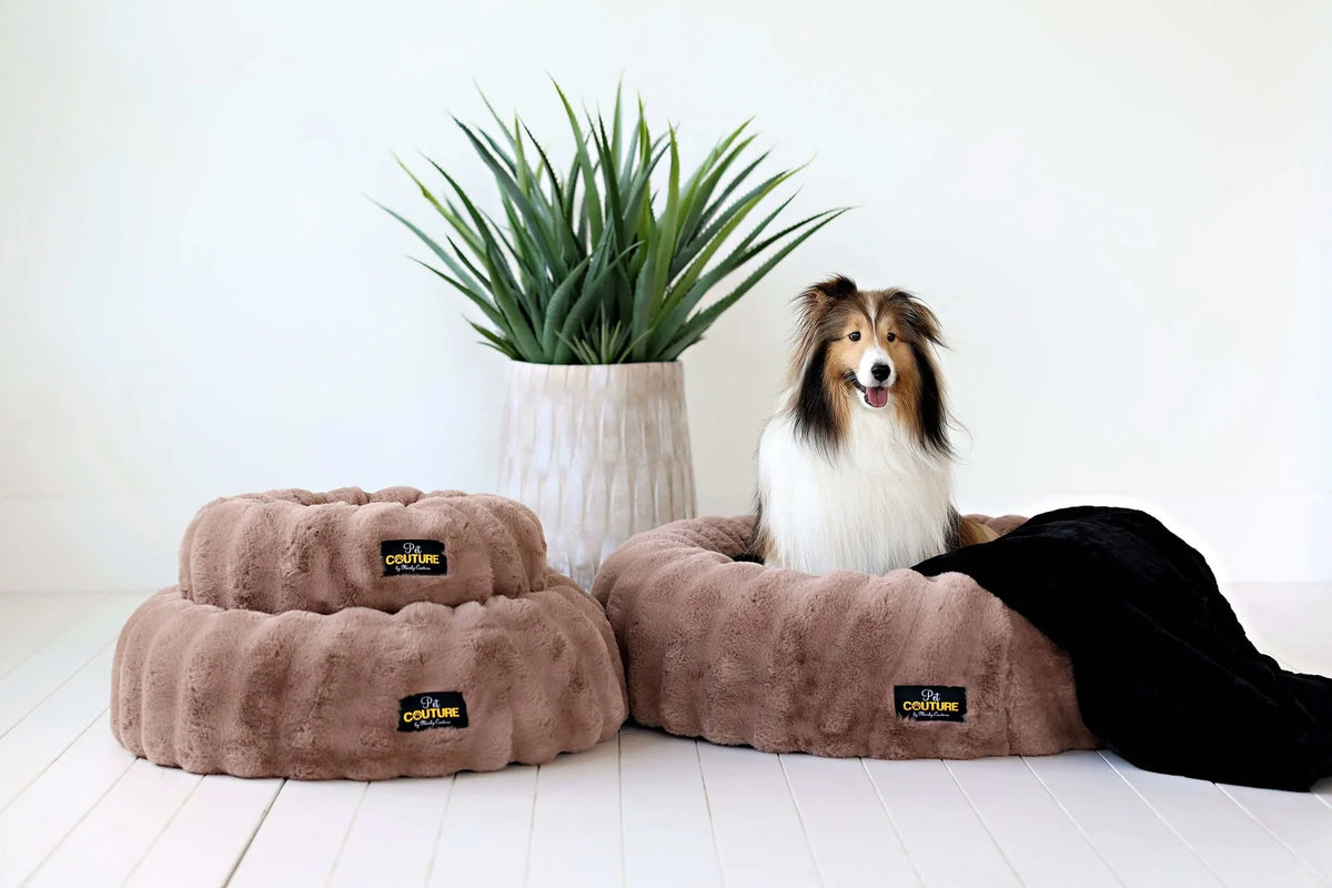Round Orthopedic Memory Foam Pet Bed with Swappable Washable Cover for Curling, Nesting, and Everyday Support