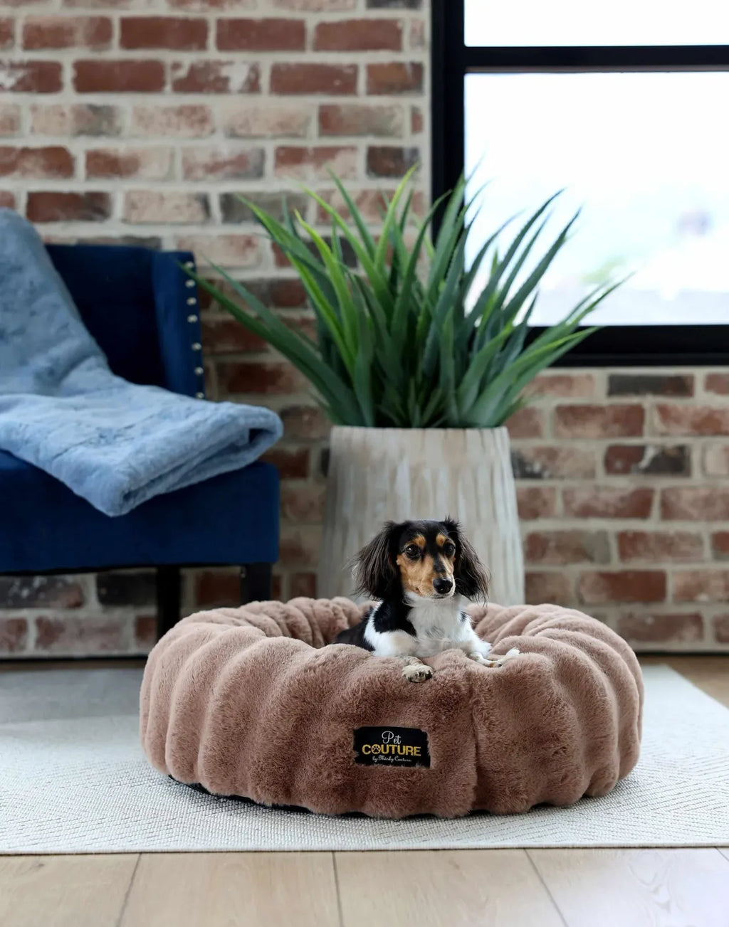 Round Orthopedic Memory Foam Pet Bed with Swappable Washable Cover for Curling, Nesting, and Everyday Support