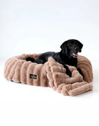 Round Orthopedic Memory Foam Pet Bed with Swappable Washable Cover for Curling, Nesting, and Everyday Support