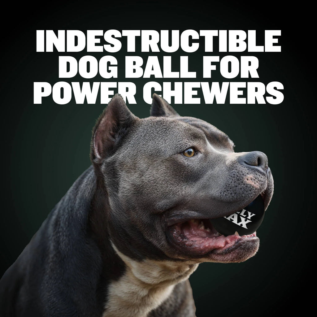 Rubber Dog Toy Ball
