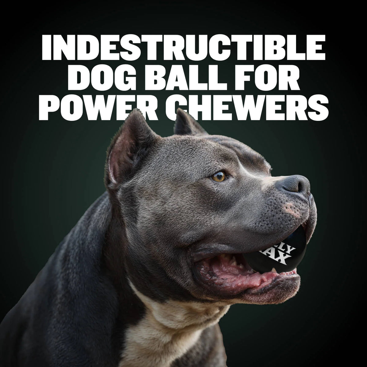 Rubber Dog Toy Ball