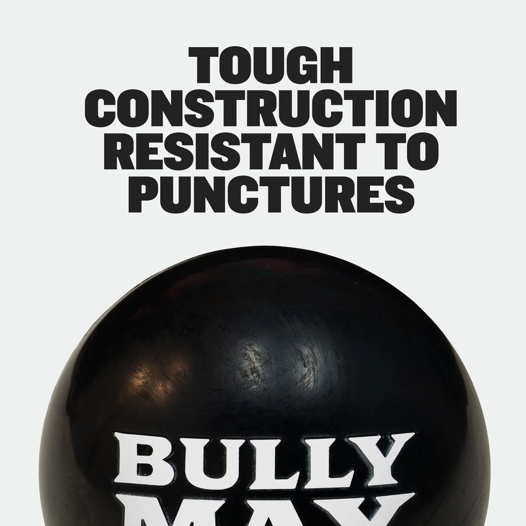 Rubber Dog Toy Ball