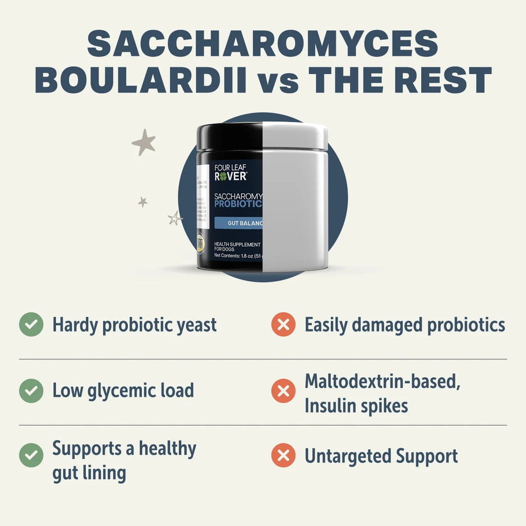 Saccharomyces Boulardii Probiotic Yeast