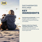 Saccharomyces Boulardii Probiotic Yeast