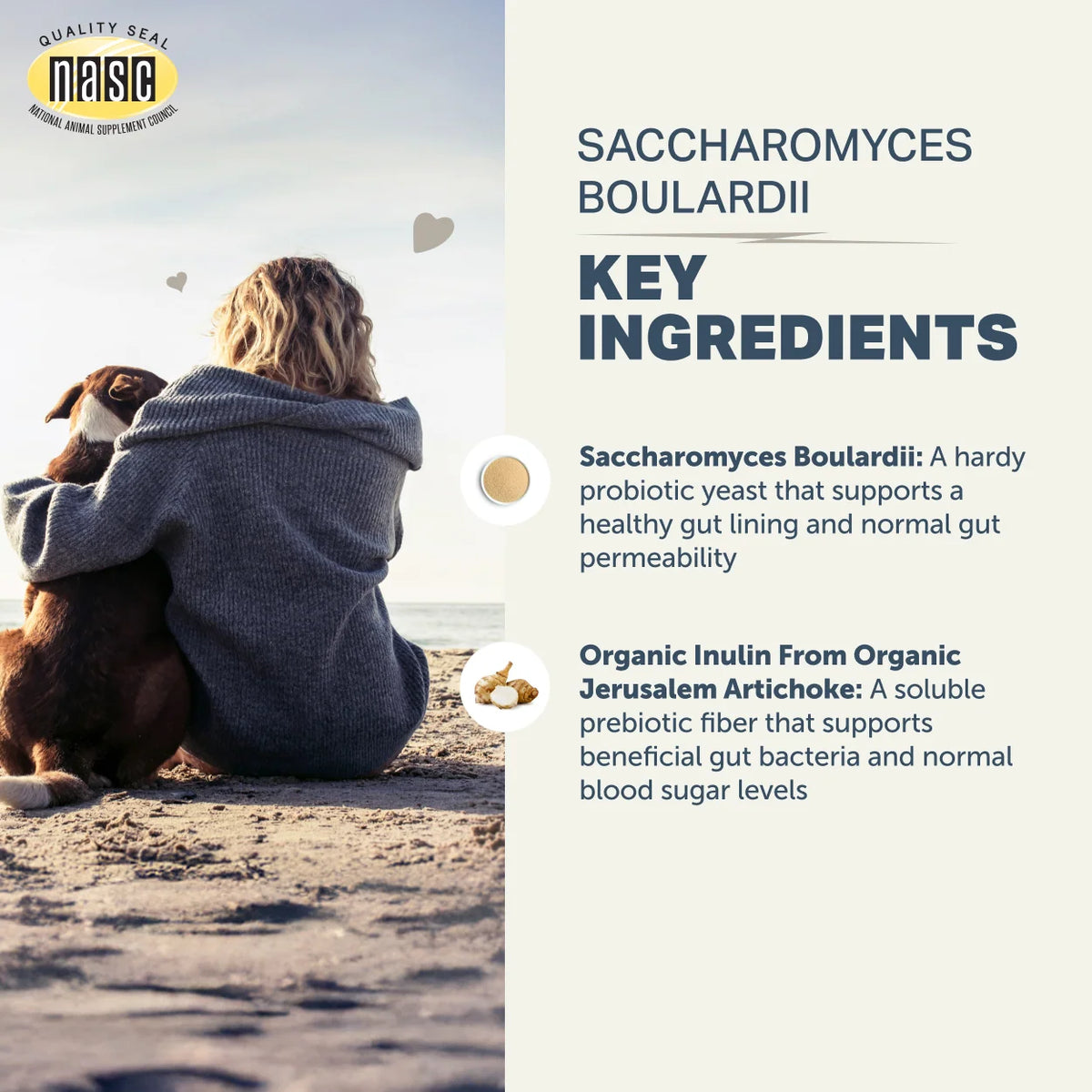 Saccharomyces Boulardii Probiotic Yeast