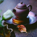 Scent Diffuser Capsule with Woody Amber Fragrance, Eucalyptus, Green Leaves, Sandalwood and Amber Notes