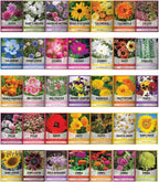 Seed Collection Kit with 140 Packets, 134 Varieties, Plant Markers and Organized Storage Ammo Can