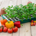 Seed Starting Supplies