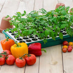 Seed Starting Supplies