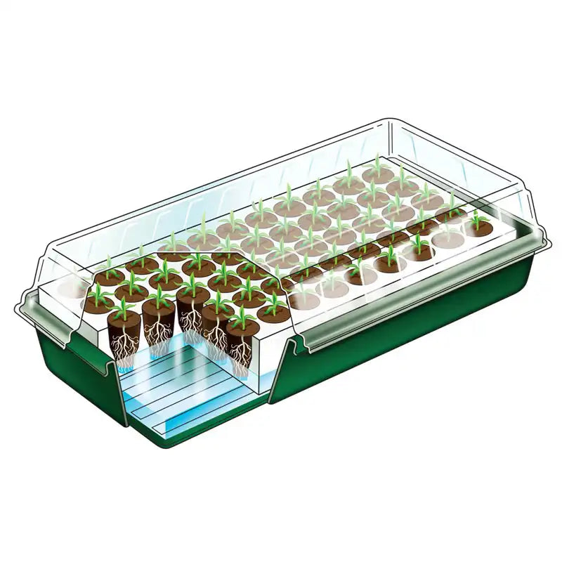 Seed Starting Supplies